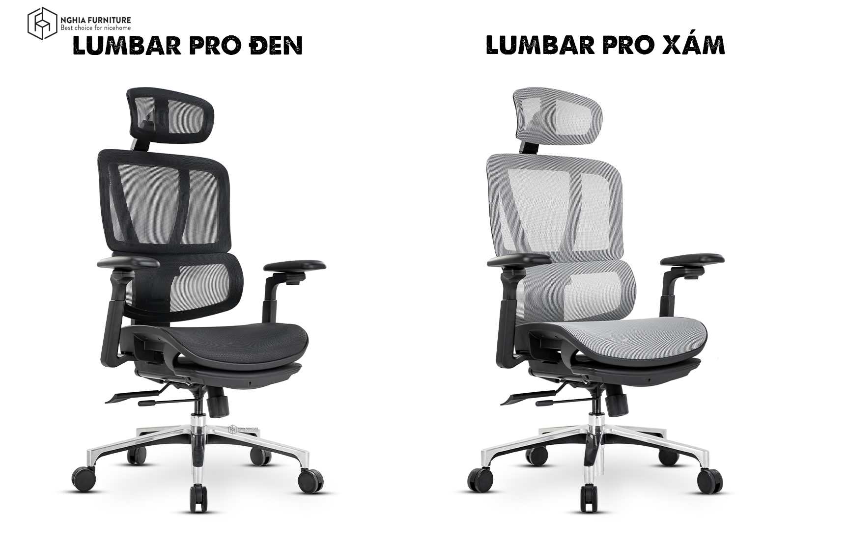 Lumbar Pro