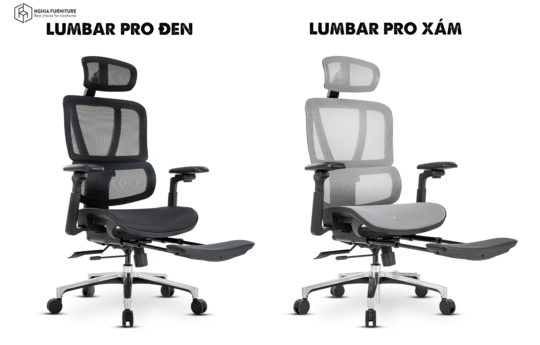 Lumbar Pro