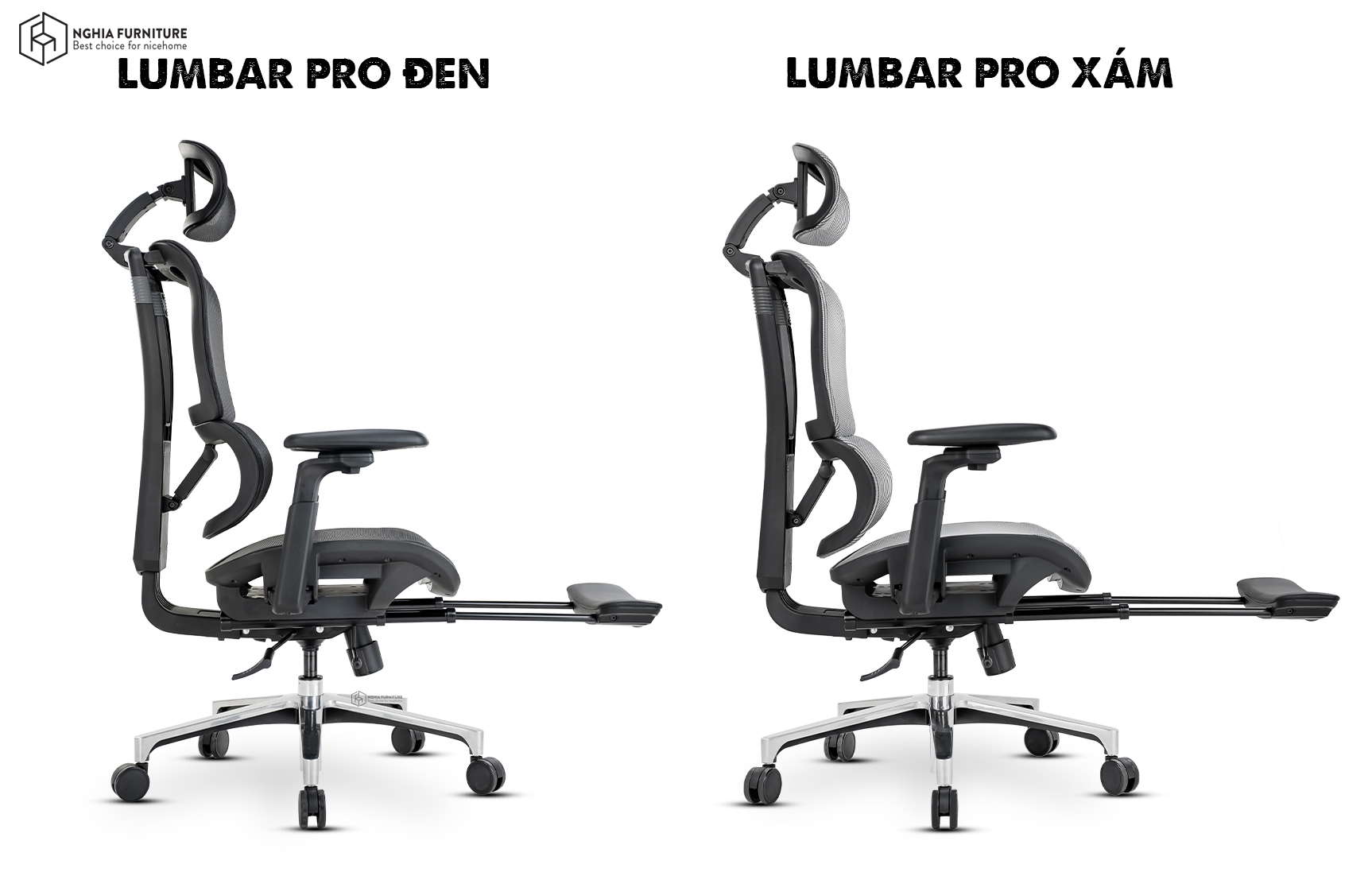Lumbar Pro