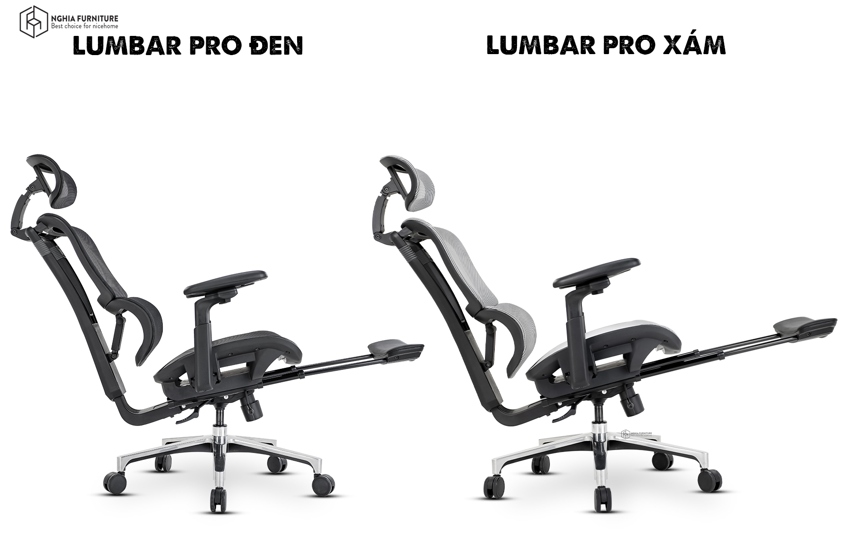 Lumbar Pro