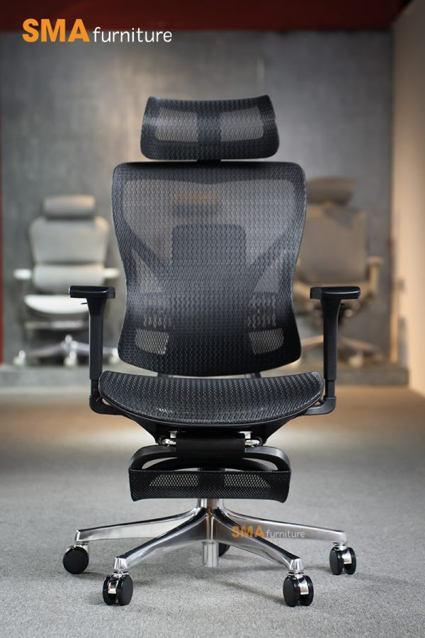 Caster-T Ergonomic Chair after
