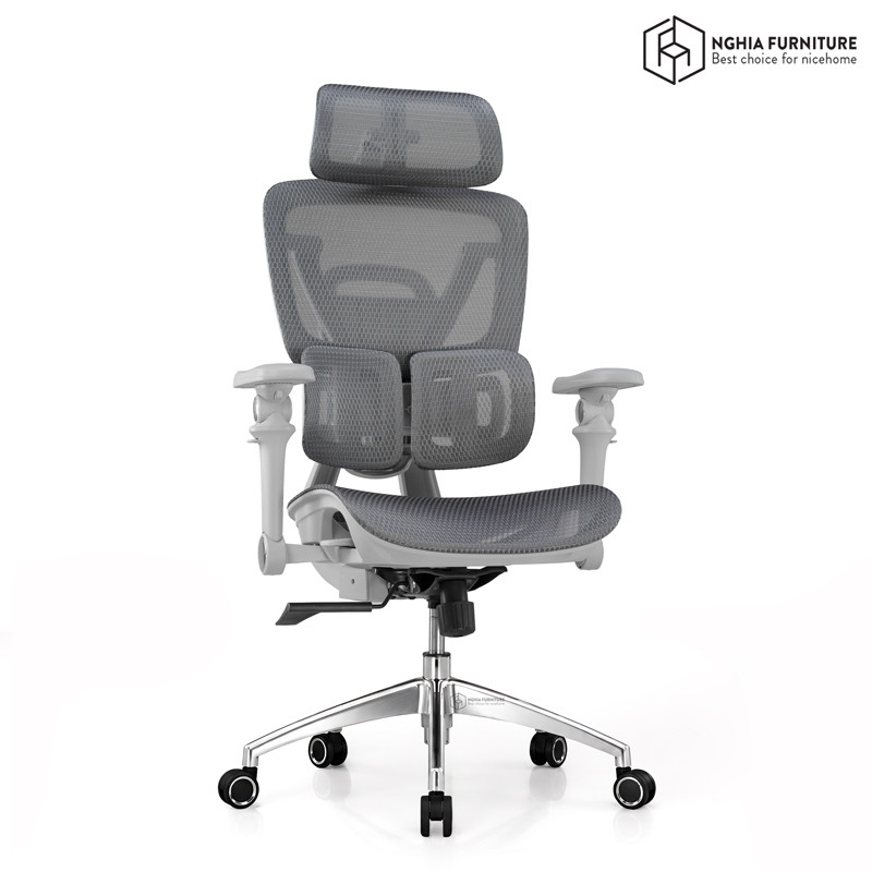 Tanji Pro 2026 Grey Ergonomic Chair after