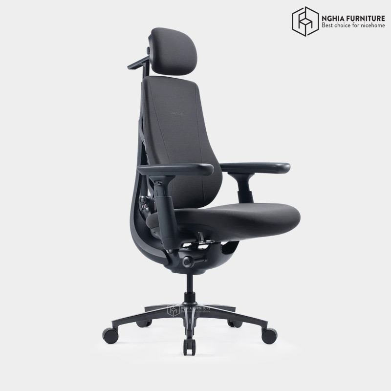 LiberNovo Maxis Manual Ergonomic Chair – Black after